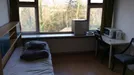 Room for rent, Rotterdam, Terbregseweg