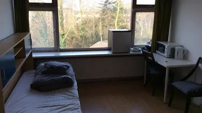 Room for rent in Rotterdam