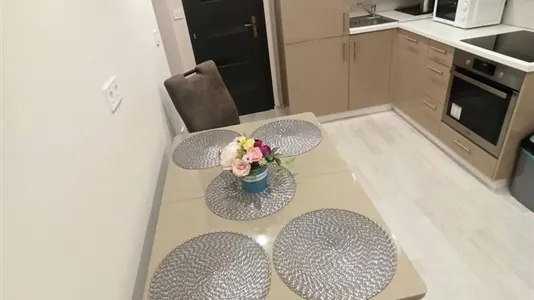 Apartments in Budapest Terézváros - photo 7