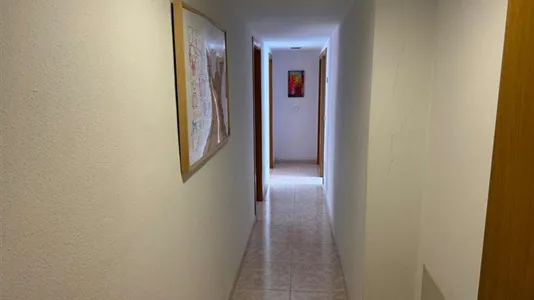 Apartments in Murcia - photo 1