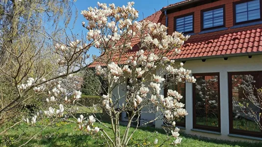 Houses in Märkisch-Oderland - photo 2
