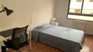 Room for rent, Castellón de la Plana/Castelló de la Plana, Comunidad Valenciana, Avinguda del Doctor Clarà