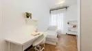 Room for rent, Padua, Veneto, Via Giuseppe Verdi