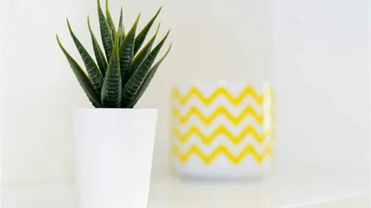 Rooms in Milano Zona 4 - Vittoria, Forlanini - photo 8