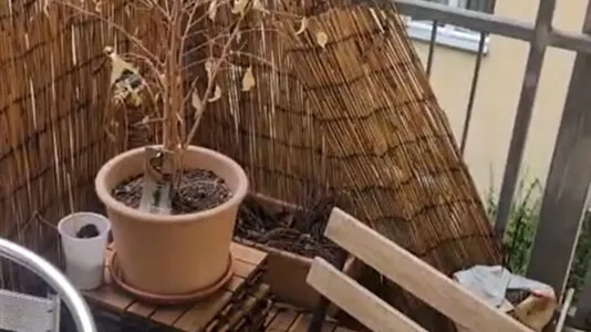 Apartments in Berlin Pankow - photo 9