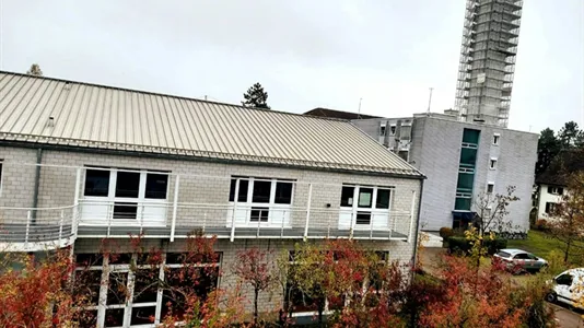 Apartments in Uster - photo 8