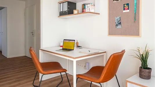 Apartments in Tübingen - photo 5