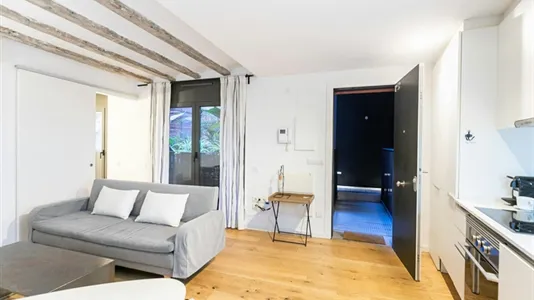Apartments in Barcelona Ciutat Vella - photo 9