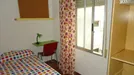 Room for rent, Córdoba, Andalucía, Calle Damasco