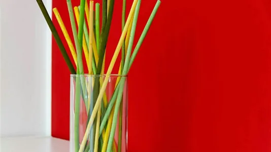 Rooms in Milano Zona 6 - Barona, Lorenteggio - photo 3