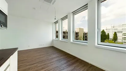 Apartment for rent in Frankfurt (region)
