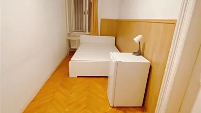 Room for rent in Budapest Erzsébetváros, Budapest