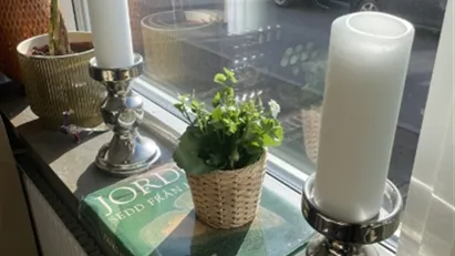 Helsingborg - 2rok - tillsv - 7.992kr/mån