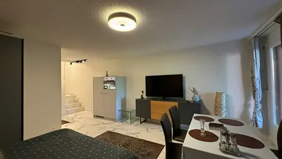 Apartment for rent in Dietikon, Zürich (Kantone)