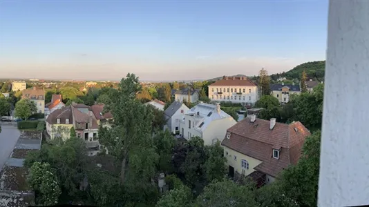 Apartments in Maria Enzersdorf - photo 2