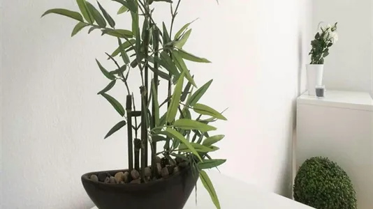 Rooms in Milano Zona 8 - Fiera, Gallaratese, Quarto Oggiaro - photo 8