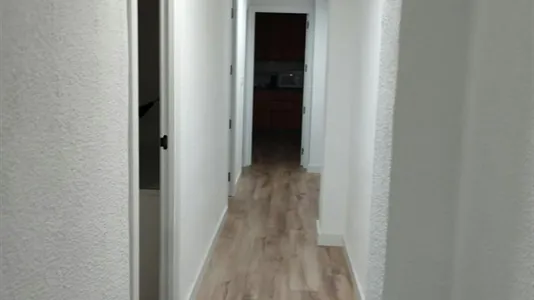 Rooms in Elche/Elx - photo 5