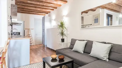 Apartment for rent in Barcelona Ciutat Vella, Barcelona