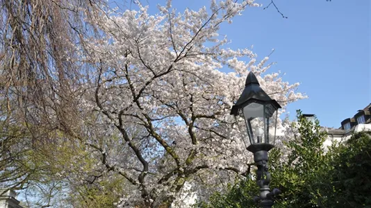 Apartments in Hamburg Nord - photo 9