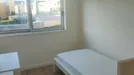 Room for rent, Braga, Braga (Distrito), Rua Dom Pedro V