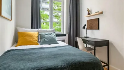 Room for rent in Oslo Grünerløkka, Oslo