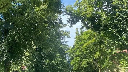 Apartments in Hamburg Harburg - photo 4