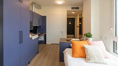 Apartment for rent in Bologna, Emilia-Romagna Apartment for rent in Bologna, Emilia-Romagna