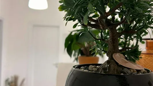 Rooms in Brescia - photo 7