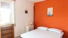 Room for rent, Roma Municipio I – Centro Storico, Rome, Lungotevere Portuense