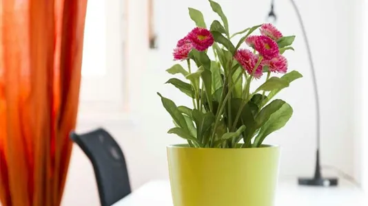 Rooms in Milano Zona 6 - Barona, Lorenteggio - photo 8