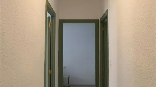 Apartments in Valencia Camins al Grau - photo 4