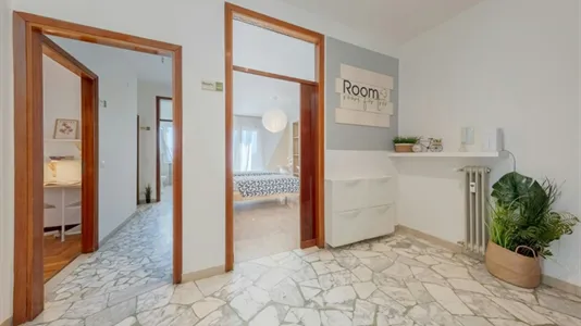 Rooms in Padua - photo 9