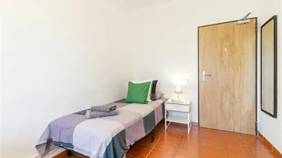 Room for rent in Cerdanyola del Vallès, Cataluña