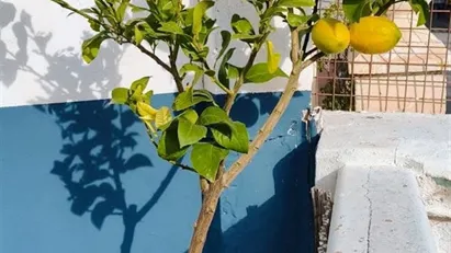 Room for rent in Burjassot, Comunidad Valenciana