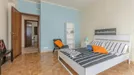 Room for rent, Pisa, Toscana, Via Giuseppe Mazzini