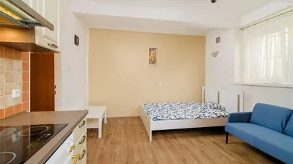 Apartment for rent in Prague