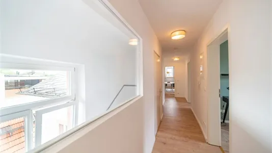 Rooms in Offenbach am Main - photo 8