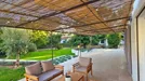 House for rent, Brignoles, Provence-Alpes-Côte d'Azur, Avenue des Bastides
