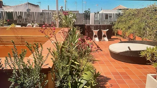 Apartments in Sevilla Casco Antiguo - photo 4