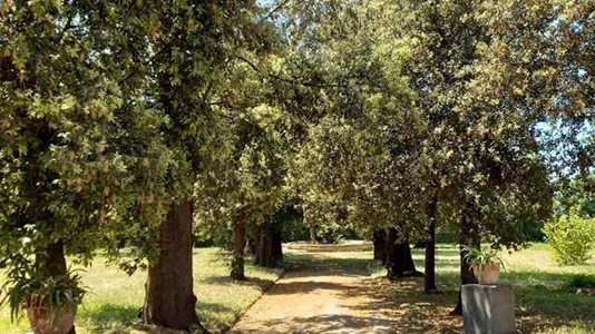 Apartments in Portici - photo 9