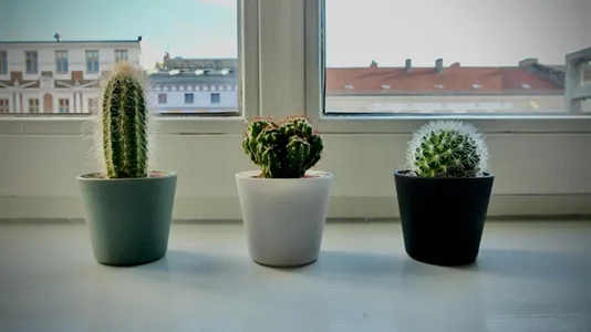 Apartments in Location is not specified - photo 8