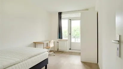 Room for rent in Rotterdam