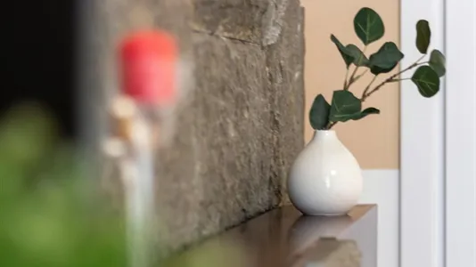 Rooms in Turin - photo 4