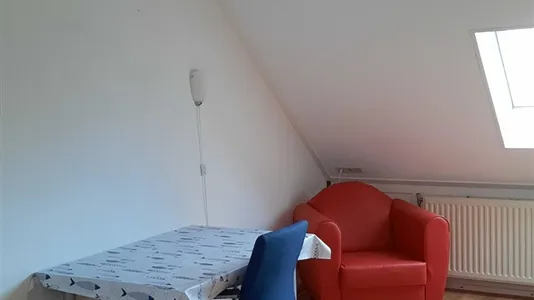 Rooms in Midden-Drenthe - photo 4