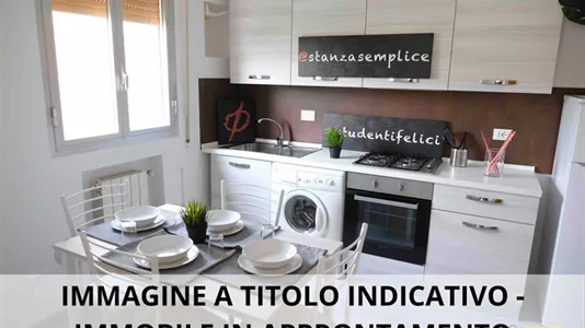 Rooms in Bologna - photo 4