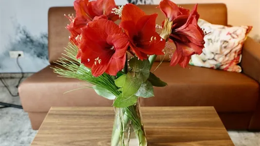 Apartments in Leipzig - photo 4