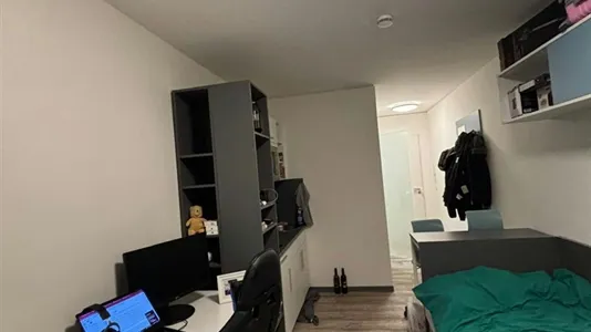 Rooms in Dresden - photo 9