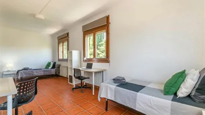 Room for rent in Cerdanyola del Vallès, Cataluña