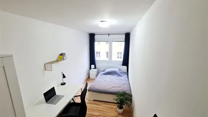 Room for rent in Vienna Josefstadt, Vienna