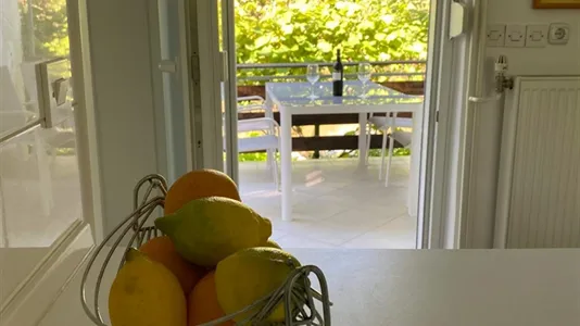 Houses in Besnica - photo 5